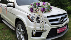 Mersedes GL 550 white